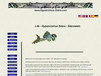 hypancistrus-zebra.com Webseite Vorschau