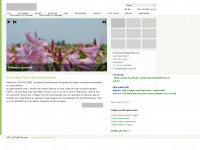 tulippictures.eu Webseite Vorschau