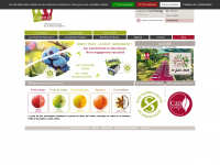 capfruit.com Webseite Vorschau