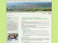 bi-wiesenttal.de Webseite Vorschau