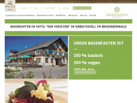 basenfasten-kur.com Webseite Vorschau
