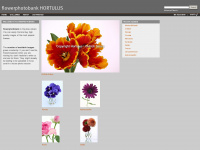flowerphotobank.com Webseite Vorschau