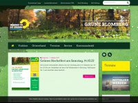 gruene-blomberg.de Webseite Vorschau