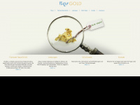 fairtrade-naturgold.de Webseite Vorschau