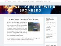ff-bromberg.at Webseite Vorschau