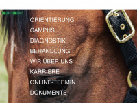 tierklinik-telgte.com Webseite Vorschau