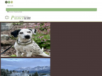dalmatiner-zucht.biz Webseite Vorschau
