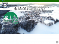 gruenhainichen.com Webseite Vorschau