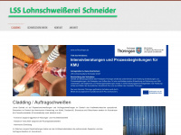 lss-schneider.de Thumbnail