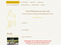 ht-s.ch Webseite Vorschau