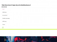 silentdiscohuren.nl Webseite Vorschau