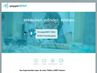 peppermint.li Webseite Vorschau