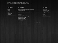 evolverindustries.com Webseite Vorschau