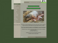 zuchtverband-deutsches-sattelschwein.de Webseite Vorschau