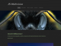 js-multivision.weebly.com Webseite Vorschau