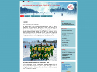 skischule-boedefeld.de Webseite Vorschau