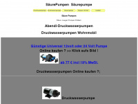 säurepumpen.net Webseite Vorschau