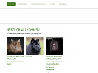 waldkatze-fledermaus.at Webseite Vorschau