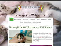 chillihome.at Webseite Vorschau