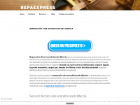 repaexpress.com Webseite Vorschau