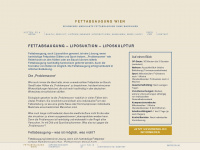 fettabsaugung-wien.info Webseite Vorschau