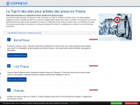 gopneus.fr Webseite Vorschau