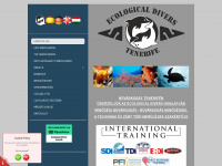 buvar-tenerife.com Webseite Vorschau