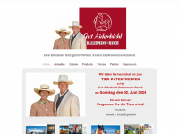 ballermann-ranch.com Webseite Vorschau