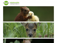 wildtier-hilfe.de Webseite Vorschau
