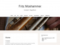 fritzmoshammer.com Webseite Vorschau