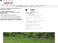 waldsoft.com Webseite Vorschau