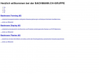 bachmannnet.com Webseite Vorschau