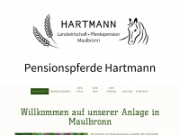 pensionspferde-hartmann.de