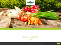 bivano.com Webseite Vorschau