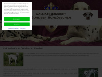 dalmatiner-leipzig.de Webseite Vorschau