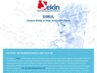 sekin-simul.de Webseite Vorschau