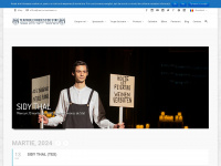 teatrul-evreiesc.com.ro Webseite Vorschau