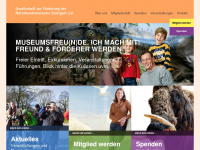 foerderverein-smns.de Webseite Vorschau