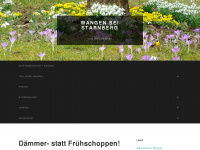 wangen-starnberg.de Webseite Vorschau