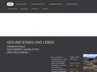 salzsalz.ch Webseite Vorschau