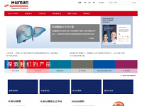 human-china.com Webseite Vorschau