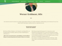 grobbauer.at Webseite Vorschau