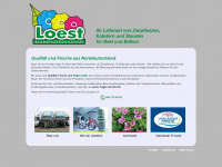 loest-bgh.de Webseite Vorschau