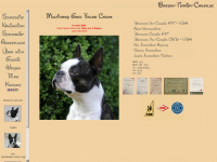 boston-terrier-carlos.de Webseite Vorschau