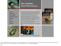 laufkaefer-bw.de Webseite Vorschau