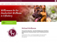 hundeschule-wollbaum.de Webseite Vorschau
