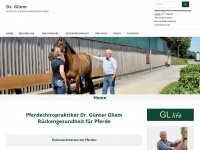 dr-gliem.de Webseite Vorschau