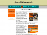 sperrmüllabholung-berlin.org Webseite Vorschau