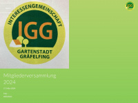 igg.info Webseite Vorschau