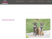 lucky-dog-camper.de Webseite Vorschau